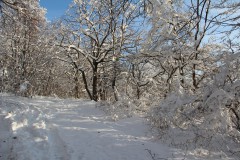 IMG_6725