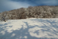 IMG_6765