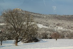 IMG_6772