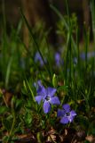 IMG_5544