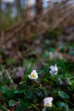 IMG_5559