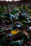 IMG_5562
