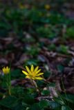 IMG_5563