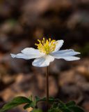 IMG_5571