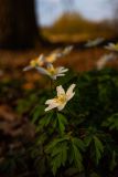 IMG_5573