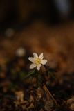 IMG_5577