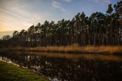 IMG_5592