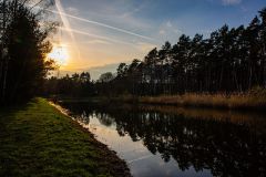 IMG_5593