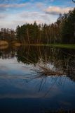 IMG_5607
