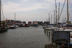IMG_1837
