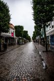 IMG_2549