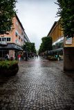 IMG_2550