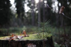 IMG_2770