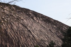 IMG_2832