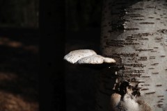 IMG_3565