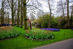 IMG_1323