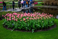 IMG_1333