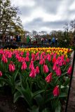 IMG_1340