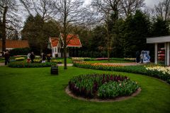 IMG_1345