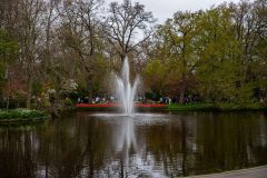 IMG_1354