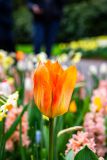 IMG_1367