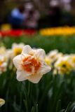 IMG_1379