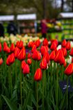 IMG_1381