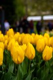IMG_1382