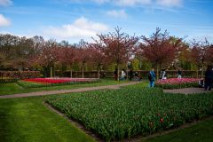 IMG_1403