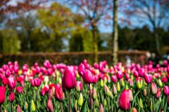 IMG_1408