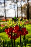 IMG_1410