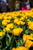 IMG_1414