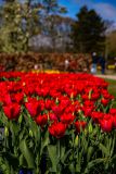 IMG_1418
