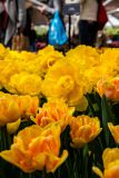 IMG_1448