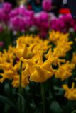IMG_1480