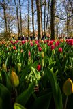 IMG_1503