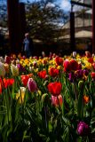 IMG_1508