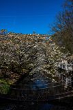 IMG_1525