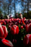 IMG_1527