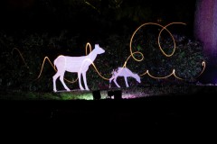 IMG_0785