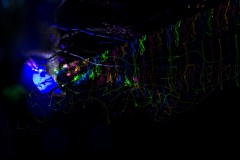 IMG_0798