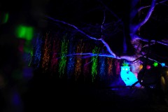 IMG_0804