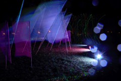 IMG_0812