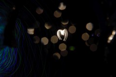 IMG_0873