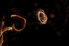 IMG_0881