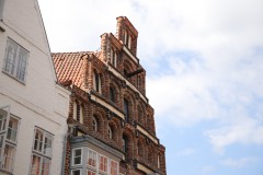 IMG_5624