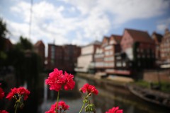 IMG_5631