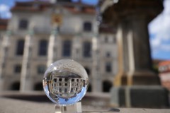 IMG_5752