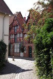 IMG_5759