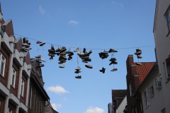 IMG_5828